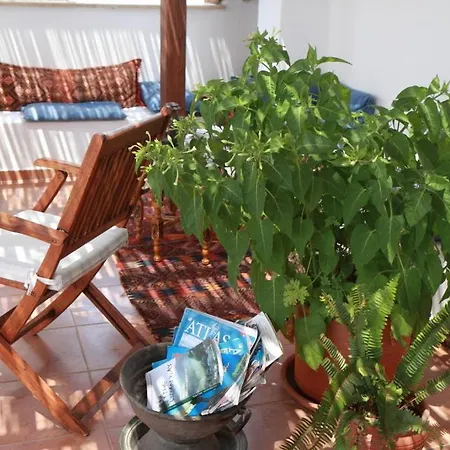 Turk Evi 3*