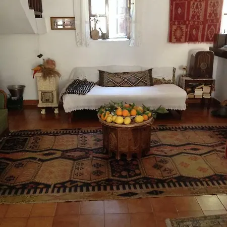 Turk Evi Kalkan