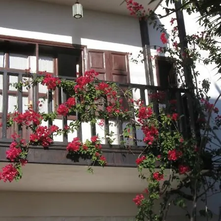 Guest house Turk Evi
