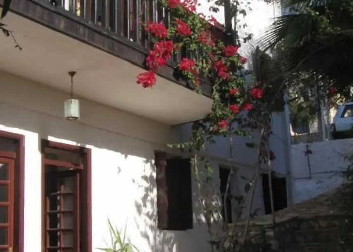 Turk Evi