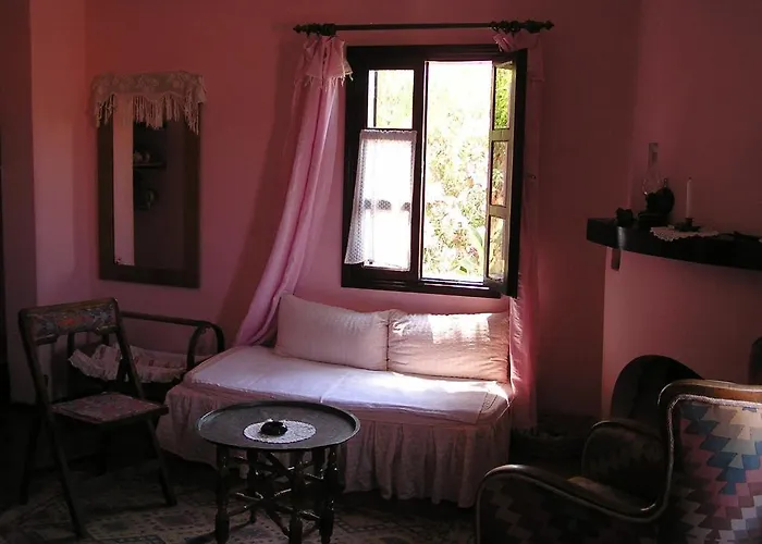 Turk Evi