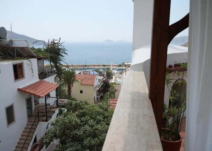 Turk Evi